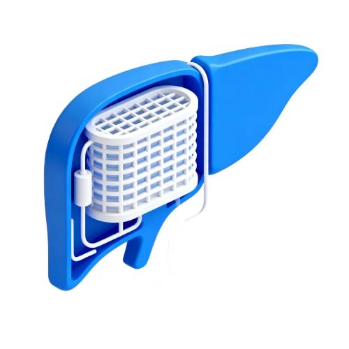 人工肝支持治疗